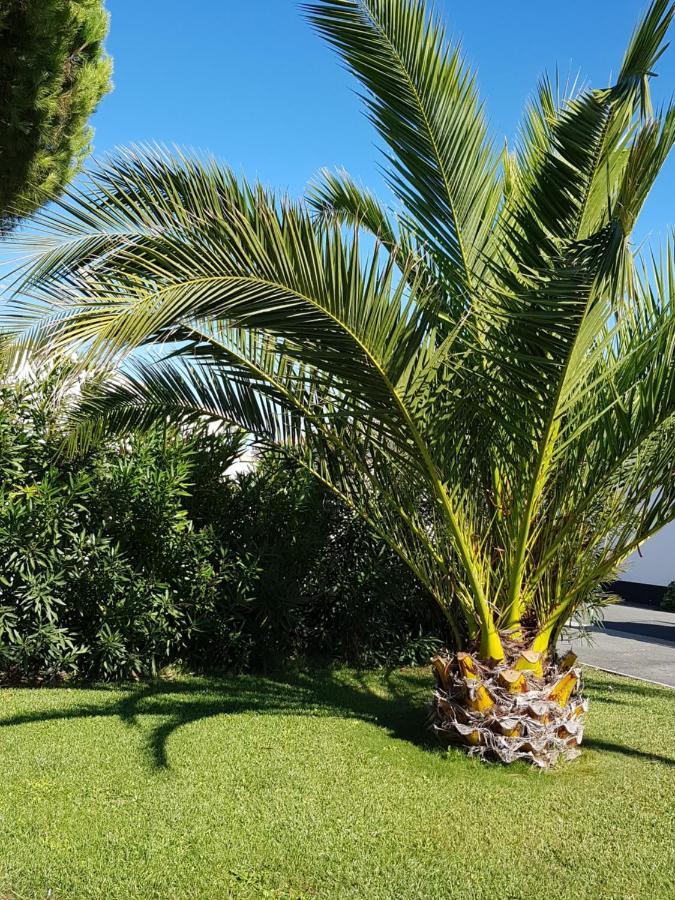 Hotel Jerodel Le Bois-Plage-en-Ré Exteriér fotografie